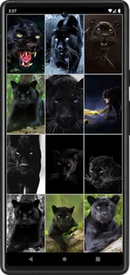 Black Panther Wallpapers android App screenshot 1