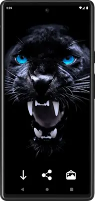 Black Panther Wallpapers android App screenshot 2