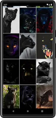 Black Panther Wallpapers android App screenshot 3